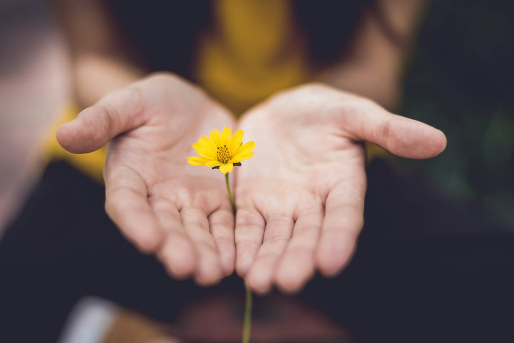 unsplash_ktPKyUs3Qjs_Deed of gift.webp